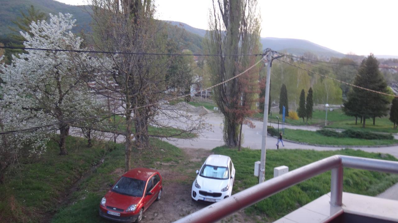 Konak Vila Mirkovic Hotel Soko Banja Exterior photo